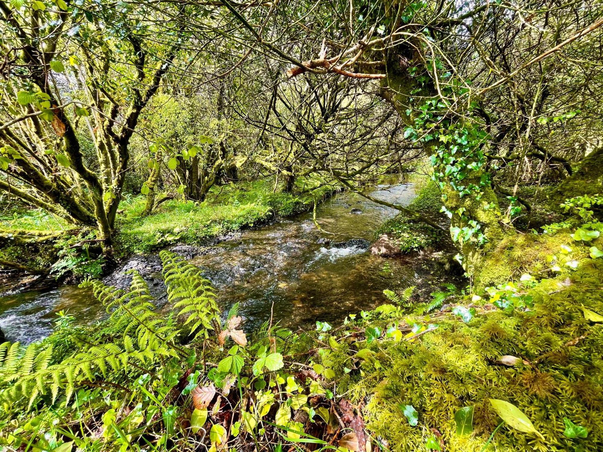 Stepping Stones Glamping 'The Olive' Villa Bantry Exterior photo